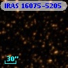IRAS 16075-5205