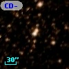 CD-50 10421
