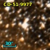 CD-51  9977