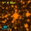 V* X Nor