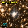 HD 145664