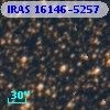 IRAS 16146-5257