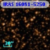 IRAS 16081-5250