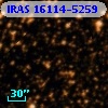 IRAS 16114-5259
