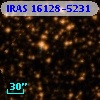 IRAS 16128-5231