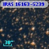 IRAS 16163-5239