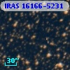 IRAS 16166-5231