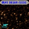 IRAS 16168-5135