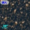 IRAS 16176-5305