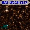 IRAS 16229-5137