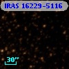 IRAS 16229-5116
