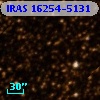 IRAS 16254-5131