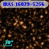 IRAS 16079-5256