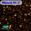 Muzzio   IV-7