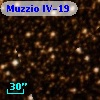 Muzzio   IV-19