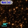 Kes 31