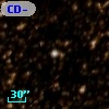 CD-51 10243
