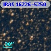 IRAS 16226-5250