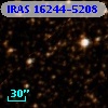 IRAS 16244-5208