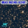 IRAS 16245-5247