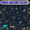 IRAS 16246-5231