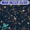 IRAS 16257-5237