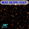 IRAS 16289-5117