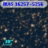 IRAS 16257-5256