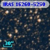 IRAS 16260-5250