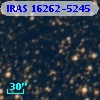 IRAS 16262-5245