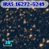 IRAS 16272-5249