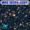 IRAS 16274-5337