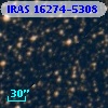 IRAS 16274-5308