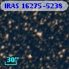 IRAS 16275-5238
