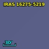 IRAS 16275-5219