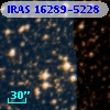 IRAS 16289-5228