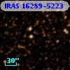 IRAS 16289-5223
