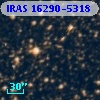 IRAS 16290-5318