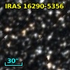 IRAS 16290-5356