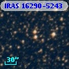 IRAS 16290-5243
