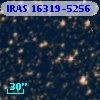 IRAS 16319-5256