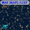 IRAS 16375-5237