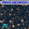 2MASS J16290419-5300010
