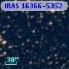 IRAS 16366-5352