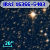 IRAS 16366-5403