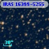 IRAS 16388-5255
