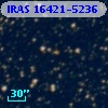 IRAS 16421-5236