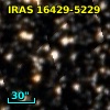 IRAS 16429-5229
