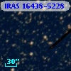 IRAS 16438-5228