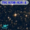 TYC 8730-828-1